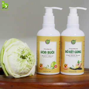 Cao gội đầu bồ kết gừng hoa bưởi
